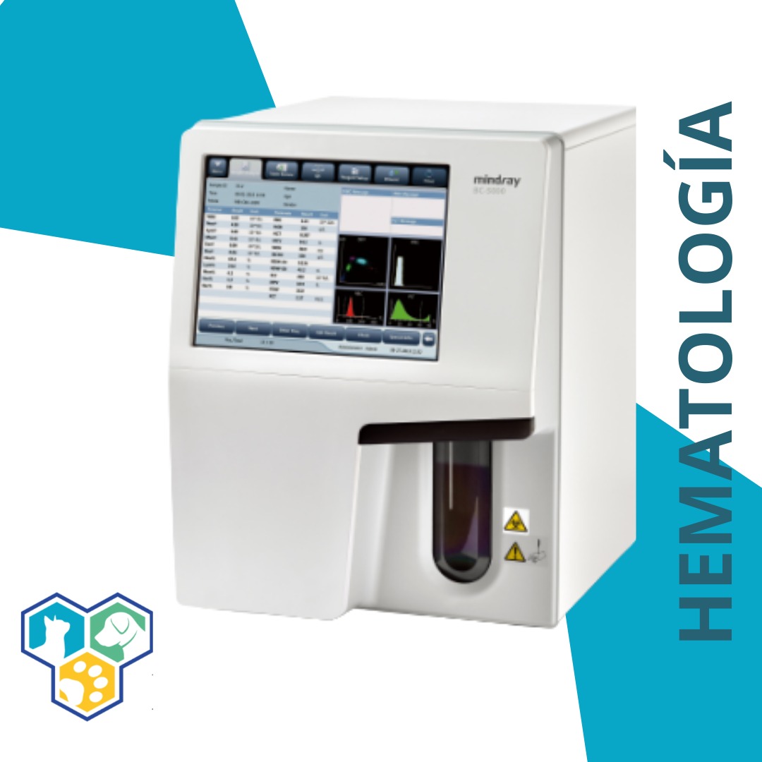 HEMATOLOGÍA