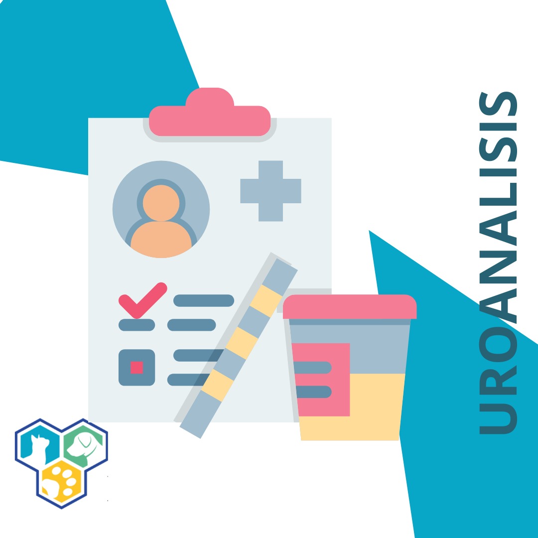 UROANÁLISIS