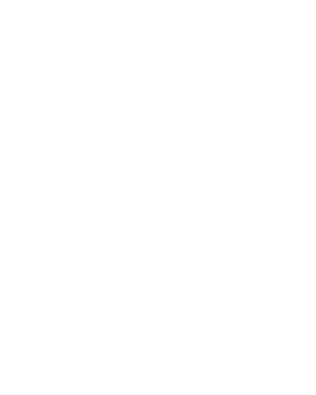 Ícono 1